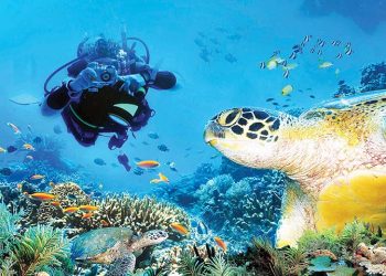 ការមុជទឹក ទៅបាត់សមុទ្រ DIVING OPPORTUNITY