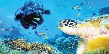 ការមុជទឹក ទៅបាត់សមុទ្រ DIVING OPPORTUNITY